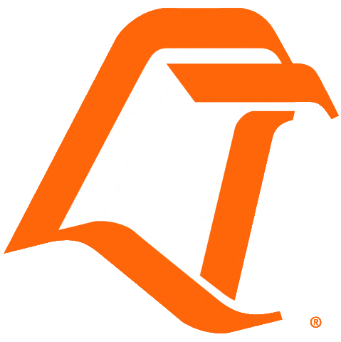 Bowling Green Falcons 1980-2005 Primary Logo iron on transfers for T-shirts